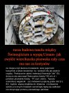 Przyczepiło się goowno do okrętu i krzyczy ...