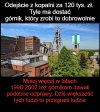 I znowu z górników zrobią patologię 