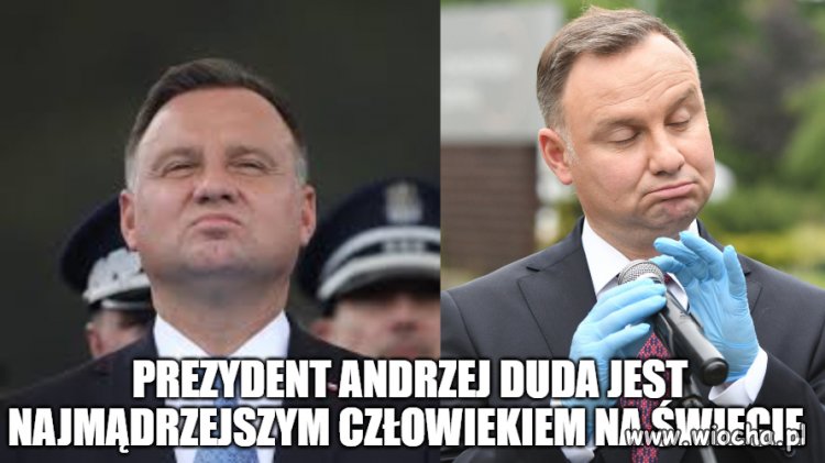 Bez ironii 