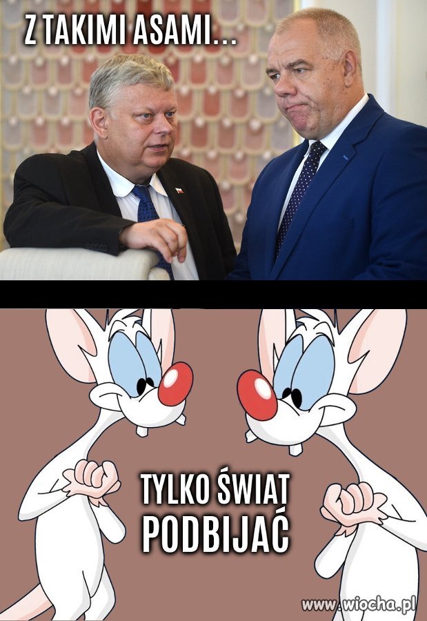 W punkt