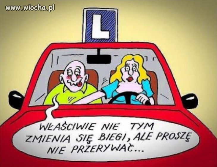 Egzamin zdany 
