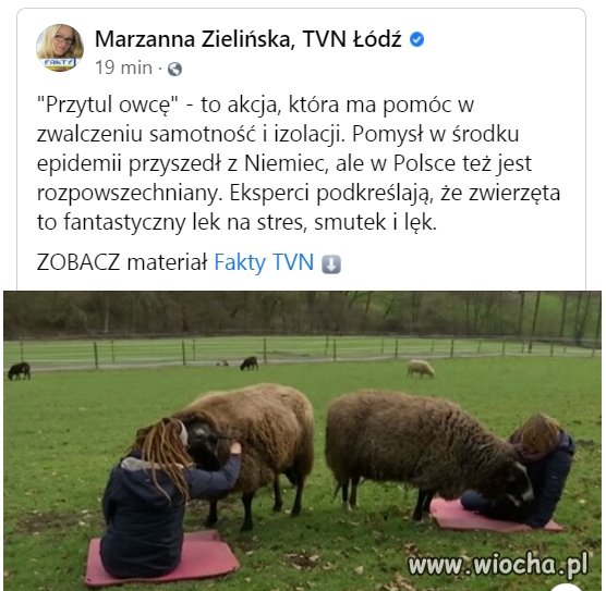 Nie wiem co oni tam wciągają
