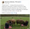 Nie wiem co oni tam wciągają