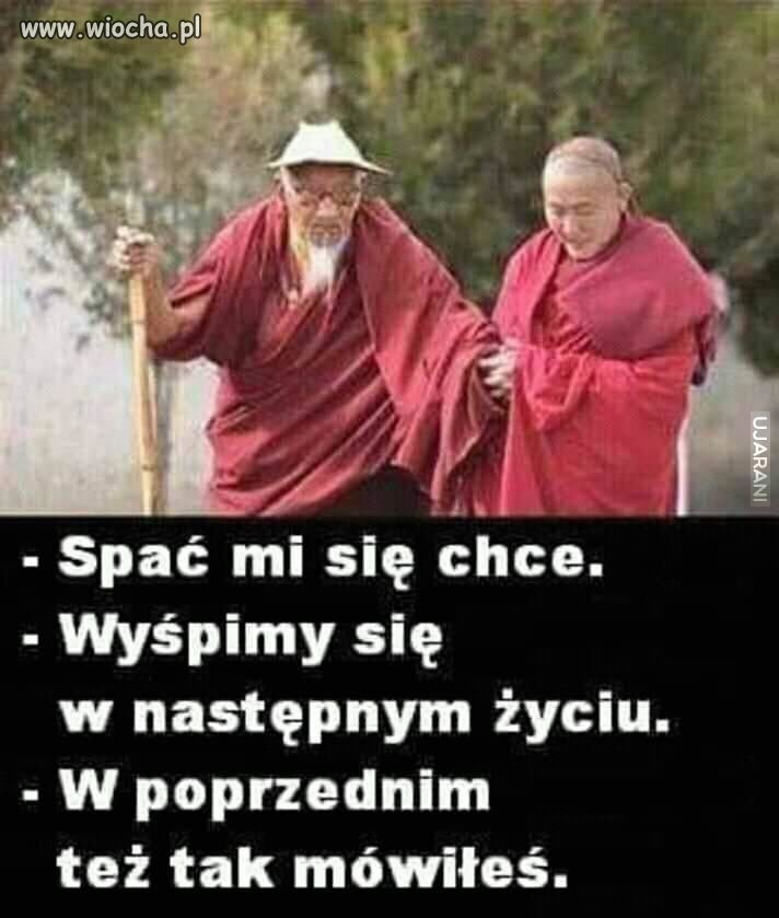 Heheszki