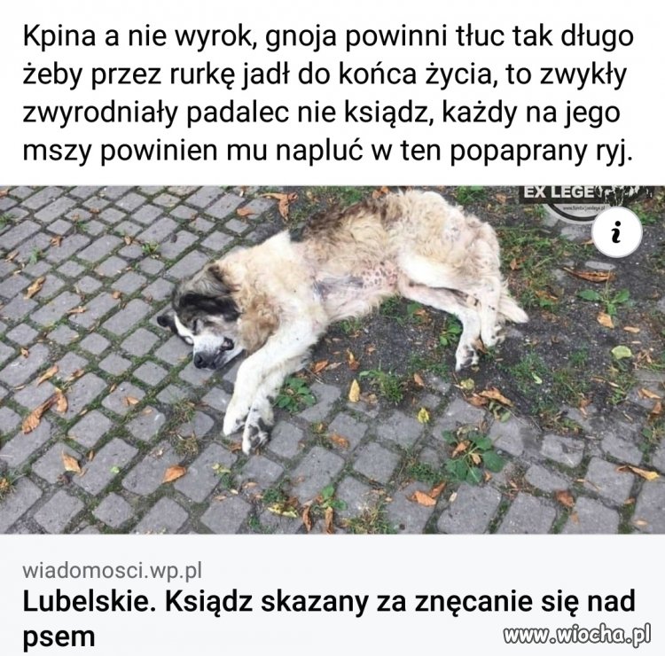 Zwyrodnialec