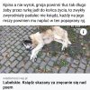 Zwyrodnialec