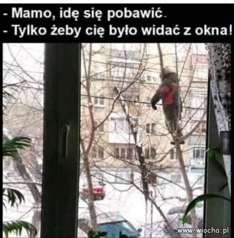 Gimby nie zrozumieją