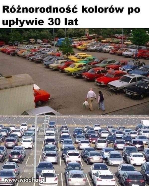 Szara rzeczywistość. 