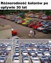 Szara rzeczywistość. 