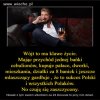 A propaganda PiSu głosi że PO kradło...TERAZ MY!!!