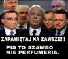 To widać 