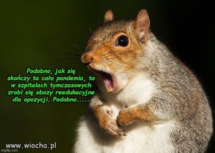 Nowy Ład
