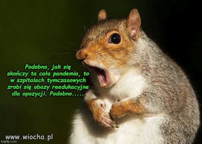 Nowy Ład