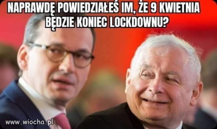 Naprawdę im powiedziałeś???