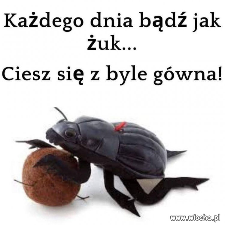 Motto na rok 2021