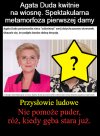 Przysłowia 