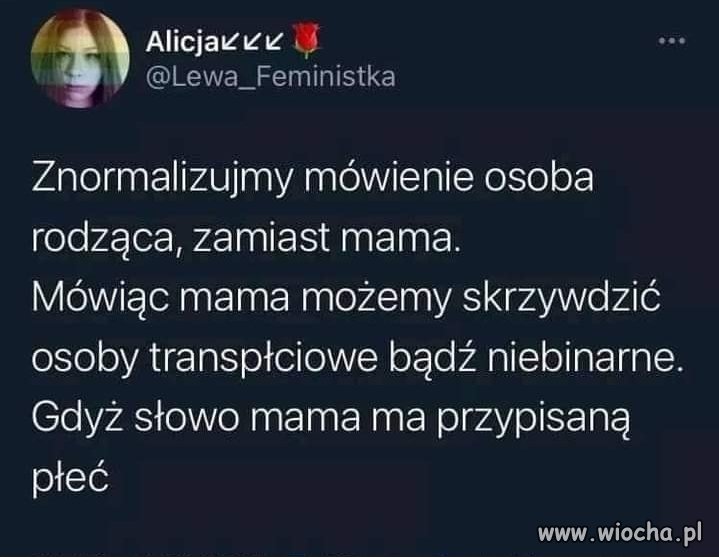 Feminazistka i jej przemyślenia