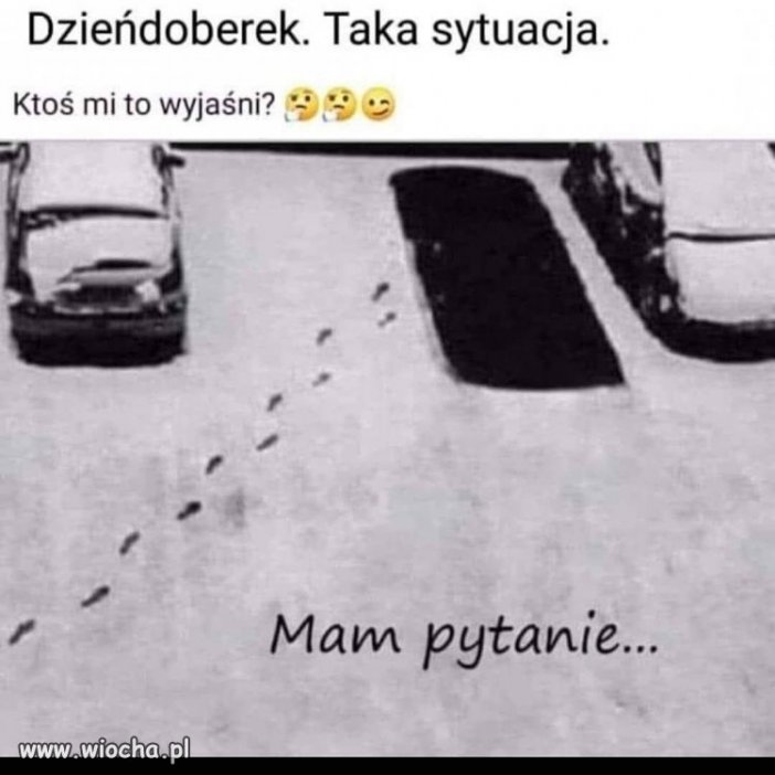 Mam pytanie...