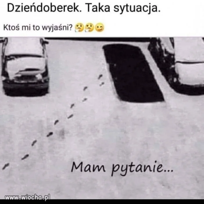 Mam pytanie...