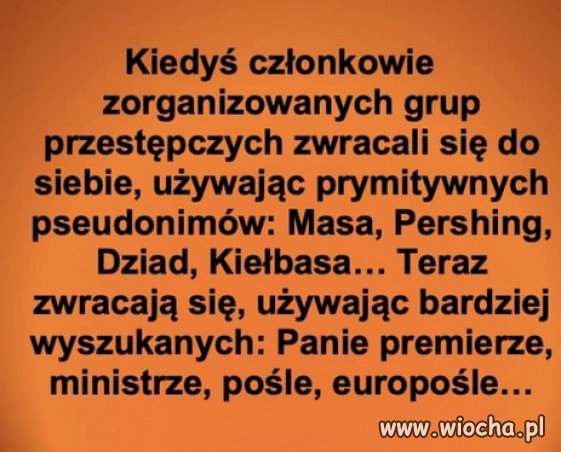 Nowe ksywy w MAFII...