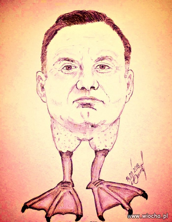 Taka zagadka  
