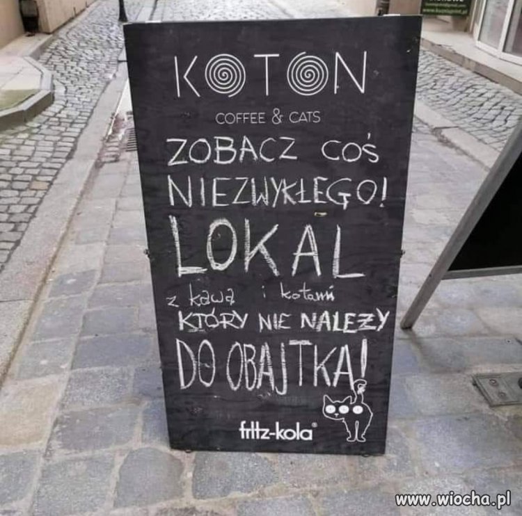 Tymczasem 