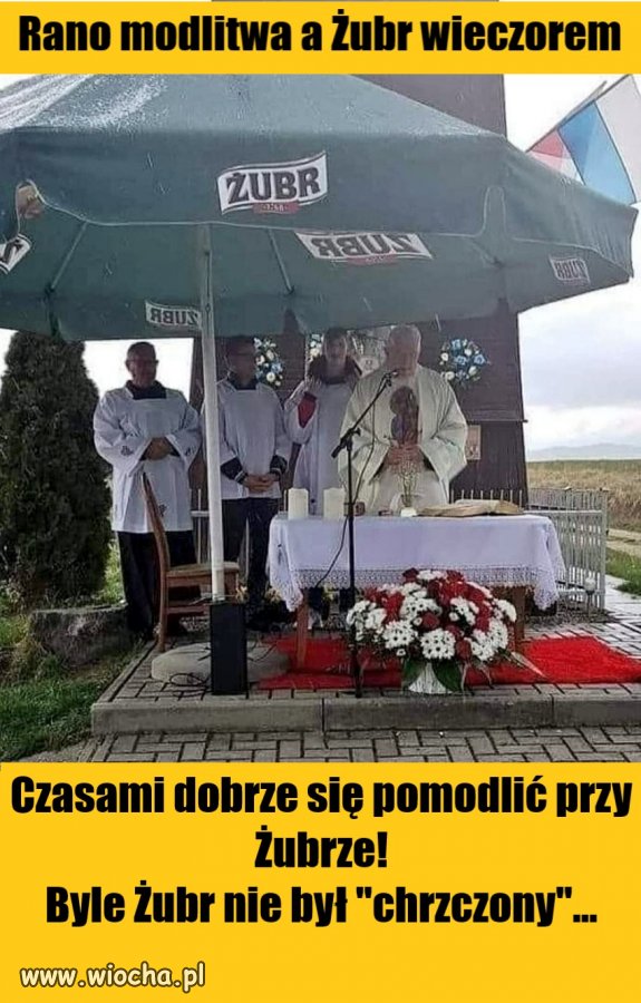 Rano modlitwa a Żubr wieczorem.