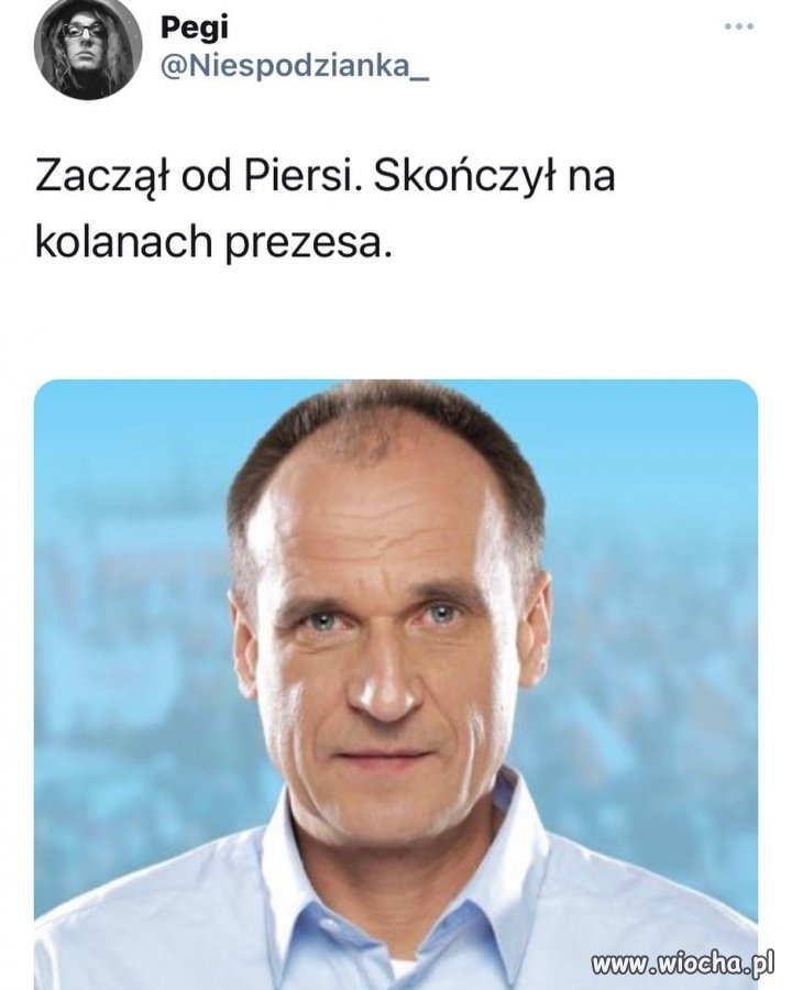Kolaborant 