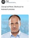Kolaborant 