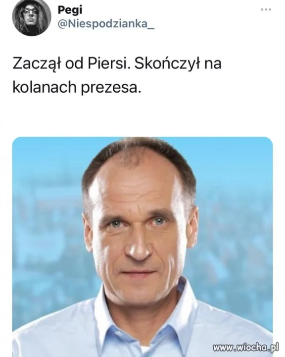 Kolaborant 