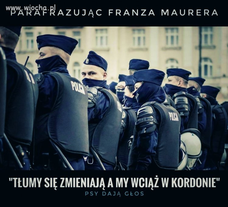 Mem z policyjnego fejsa-psy dają głos