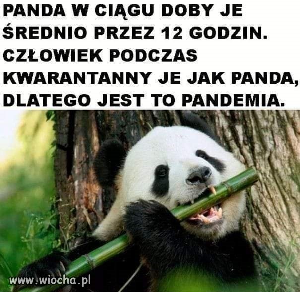 To ma sens...