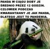 To ma sens...