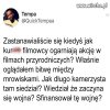 Dylematy