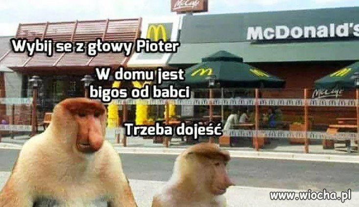 Bigos