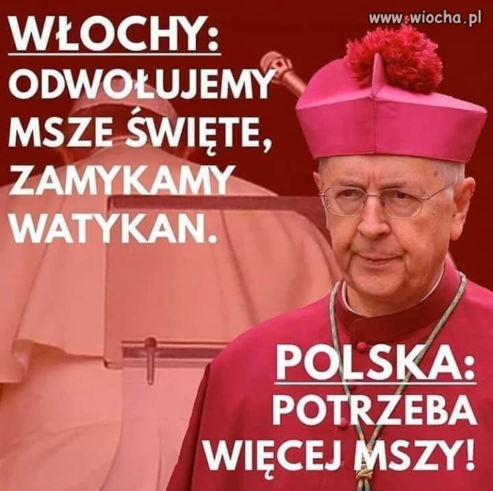 Polski sposób na pandemię ...