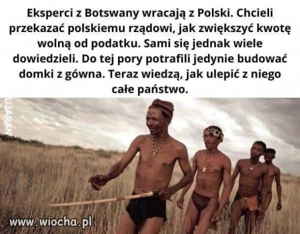 Heheszki polityczne