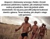 Heheszki polityczne