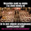 Taki mały dylemat