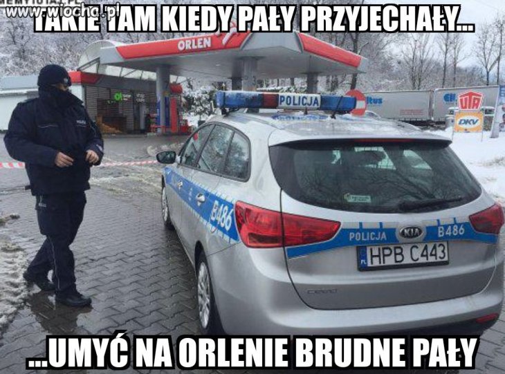 W sprawie pał