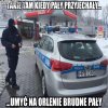 W sprawie pał