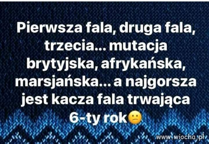 Pierwsza fala