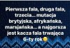 Pierwsza fala
