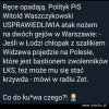 Mistrzowski