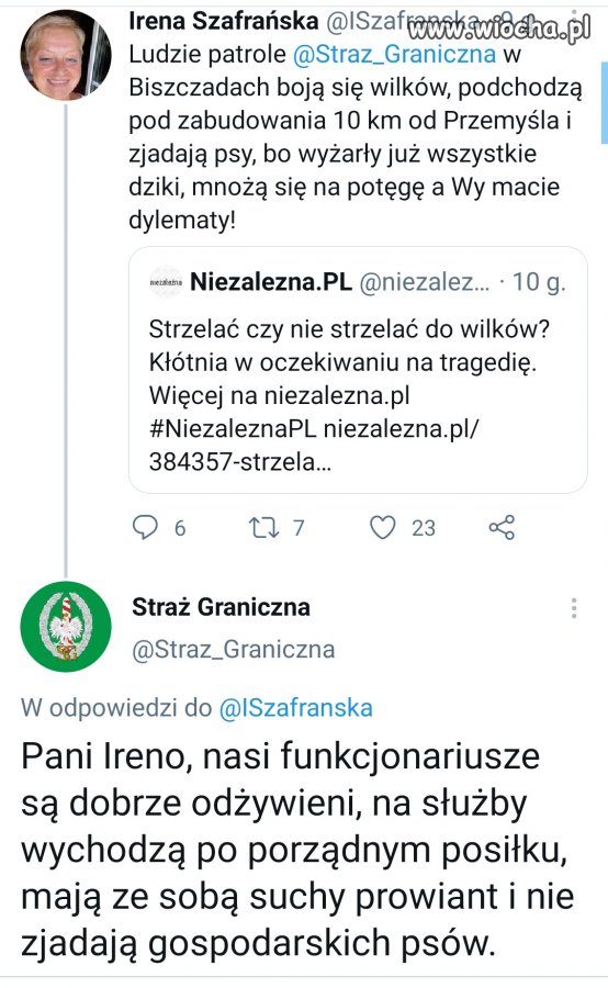 Nic lepszego dziś nie zobaczycie.