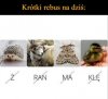 Szybki 