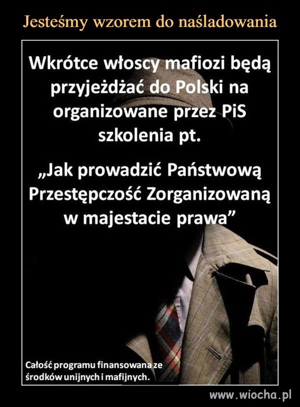 Teraz pisowcy zaczną zarabiać na szkoleniach ...