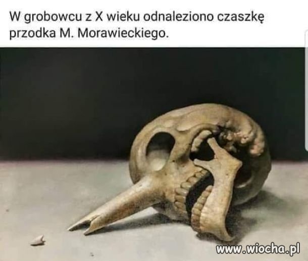 Heheszki polityczne
