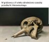 Heheszki polityczne