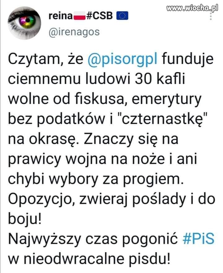 Wciskanie kitu